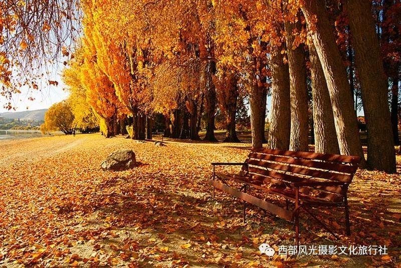 在职场中，如何防止被人套话？说话的时候要注意哪些问题？