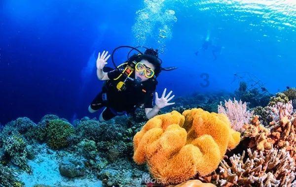 株洲水利部门全力做好本轮低温雨雪冰冻天气防范应对工作